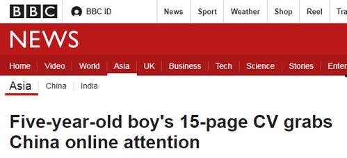 国产15页,深度解析我国创新成果与未来展望